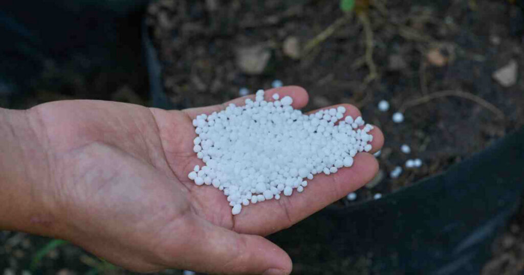 Kali trắng là gì? Vì sao cần bón cho sầu riêng?