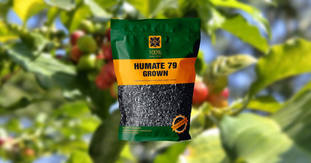Phân bón Humic là gì?