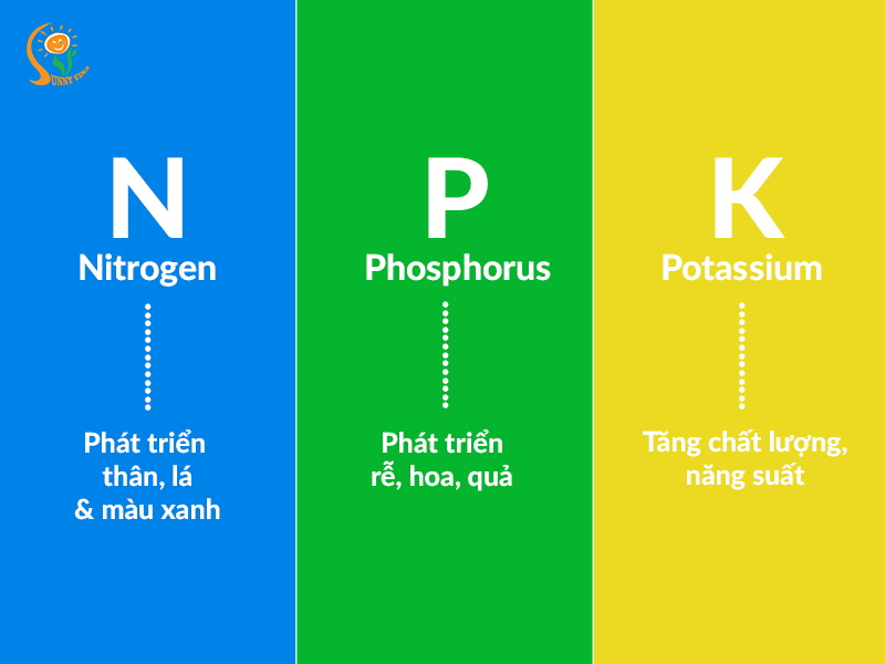 Phân NPK là gì? Tầm quan trọng của NPK?