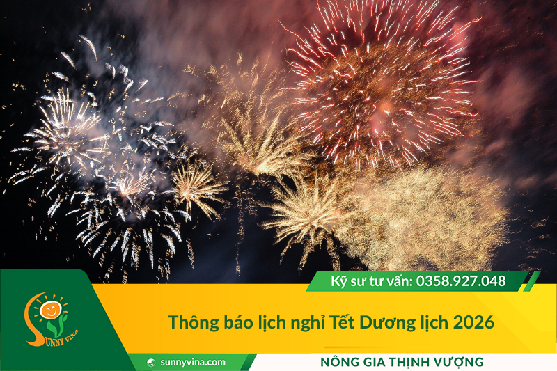 Thông báo: Lịch nghỉ Tết Dương lịch 2026