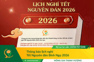 Thông báo: Lịch nghỉ Tết Nguyên Đán Bính Ngọ 2026